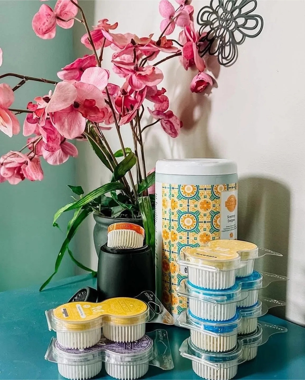 Scentsy Chasing Sunsets Bundle! thumbnail