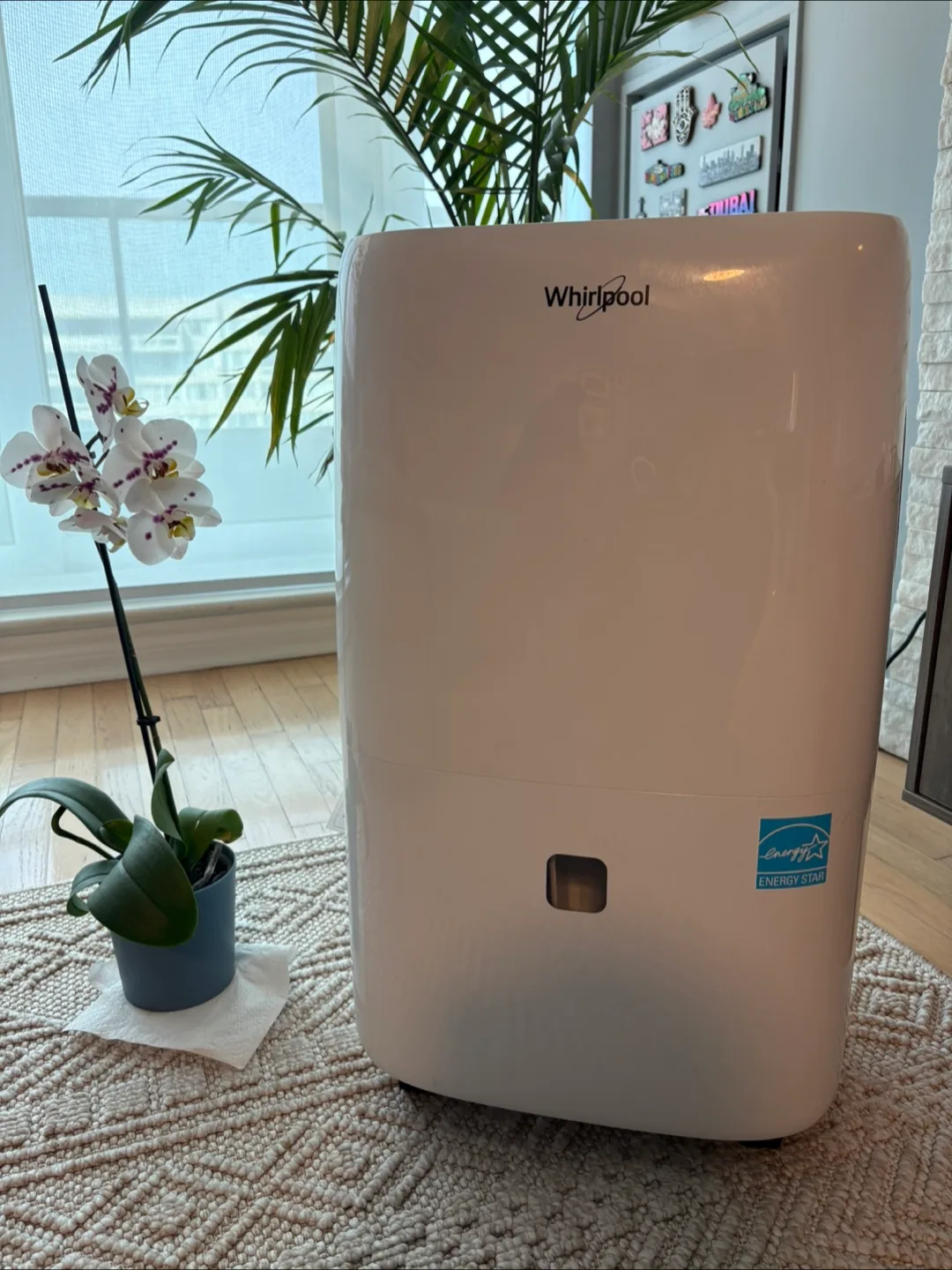 Whirlpool R-WHAD50PCW-BG 50 Pt. Dehumidifier thumbnail