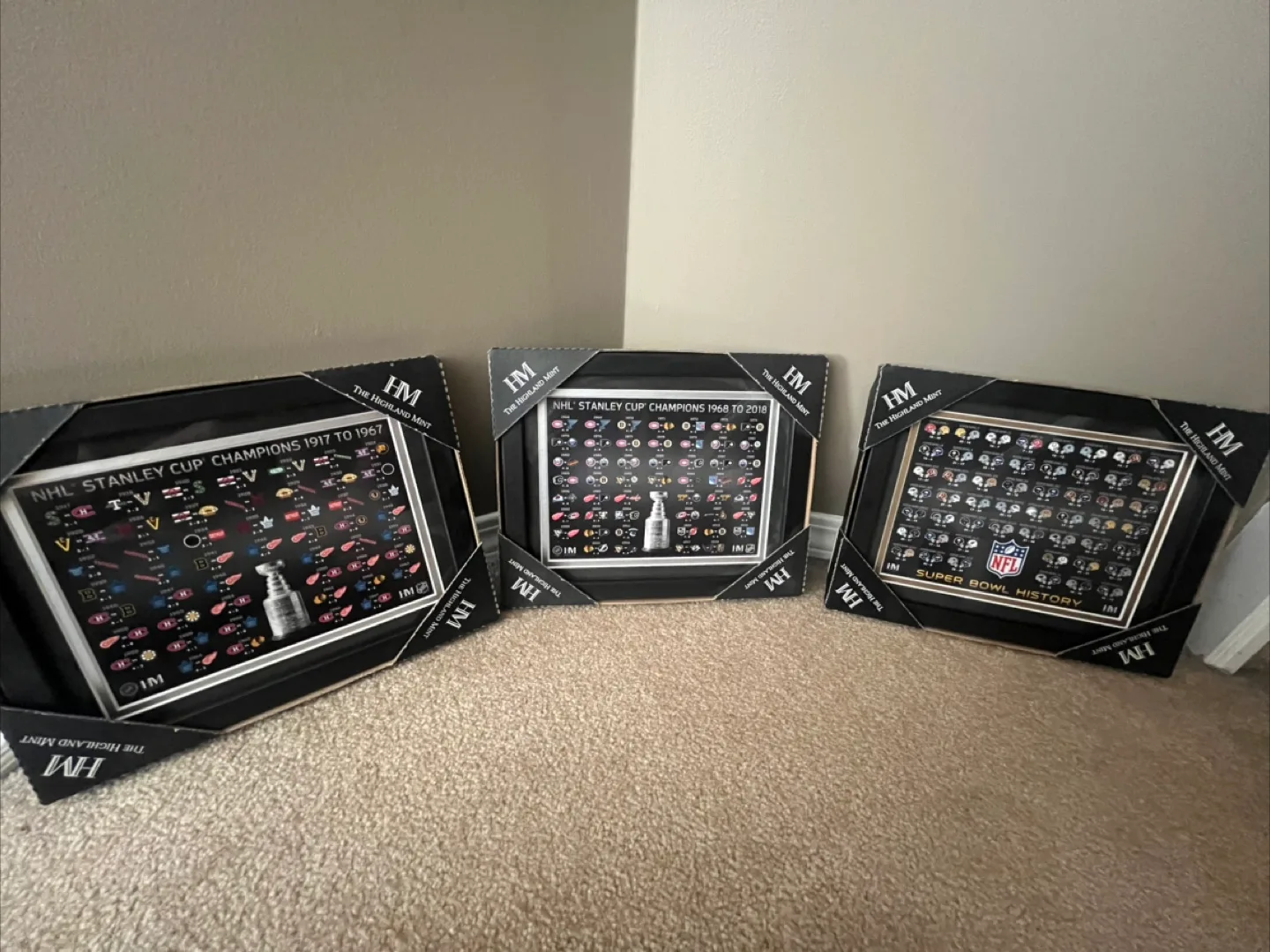 Framed NHL/NFL Championship History image indicator(2)