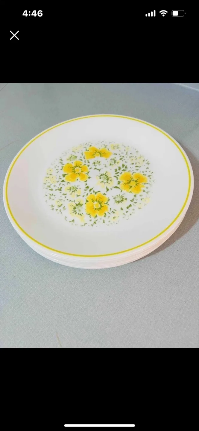 9 (nine) Corelle Dinner size Plates: $300 online thumbnail