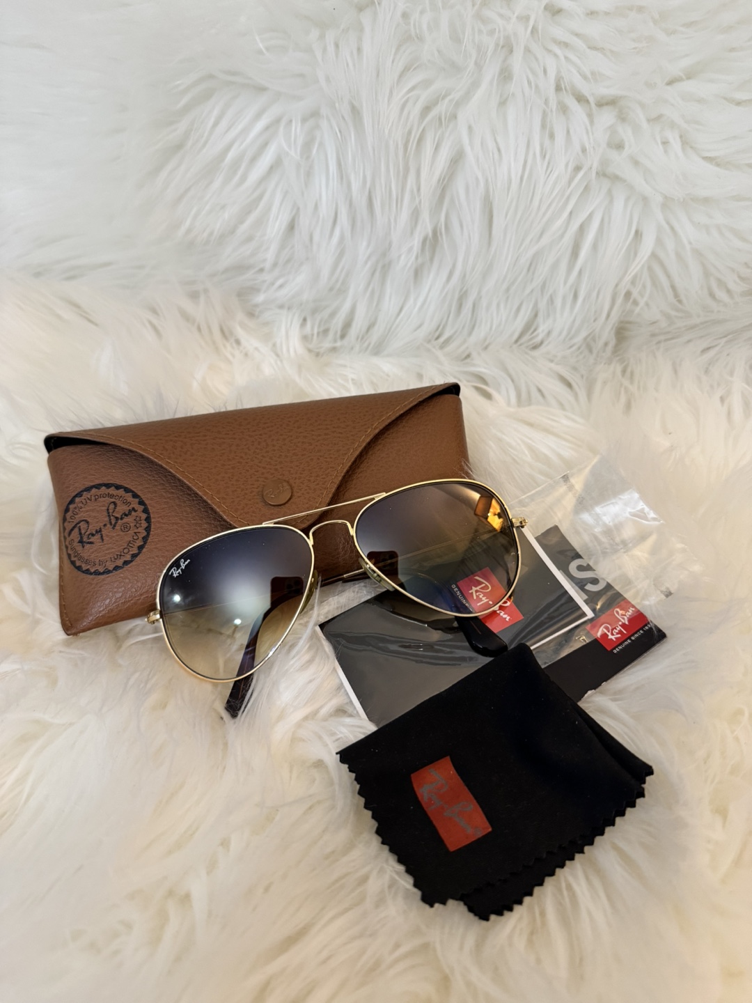 RB Aviator Sunglass with Case