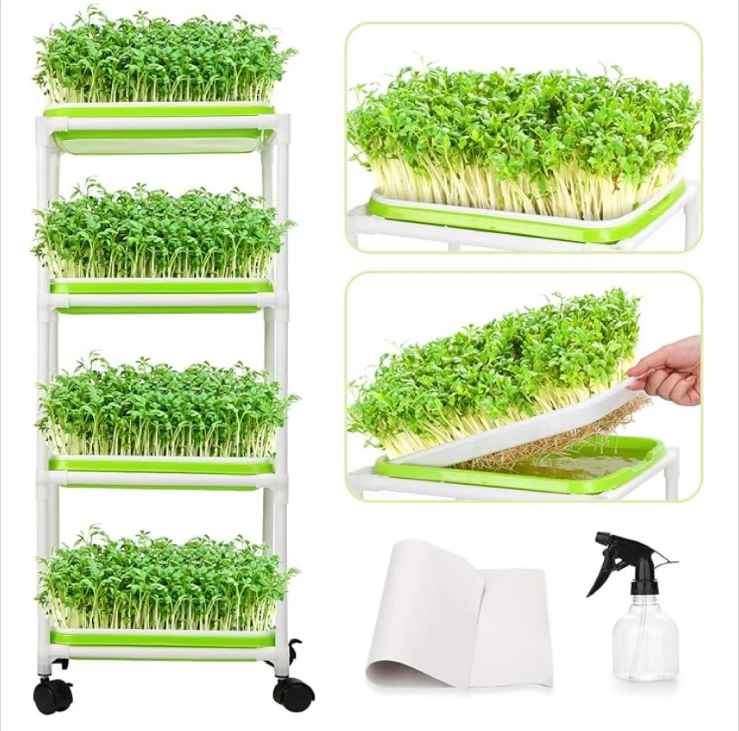 Mumm's Sprouting Seeds Kit thumbnail