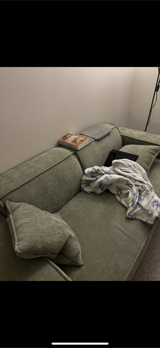 Rove lab love seat and ottoman - photo 2