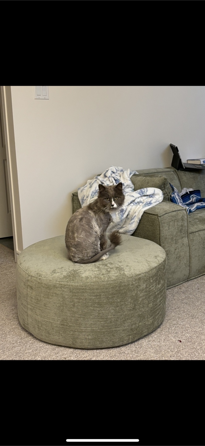 Rove lab love seat and ottoman - photo 4