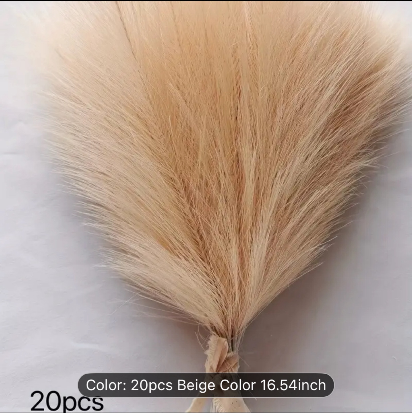 20 pcs Beige Decorative Pampas Grass