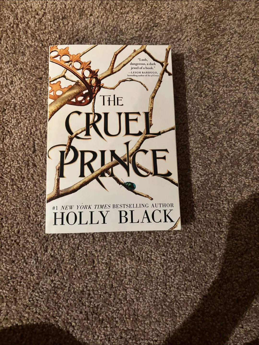 The Cruel Prince by Holly Black UNUSED thumbnail