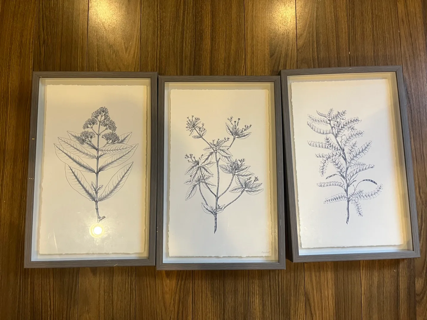 Botanical Framed Wall Art - Set of 3 thumbnail