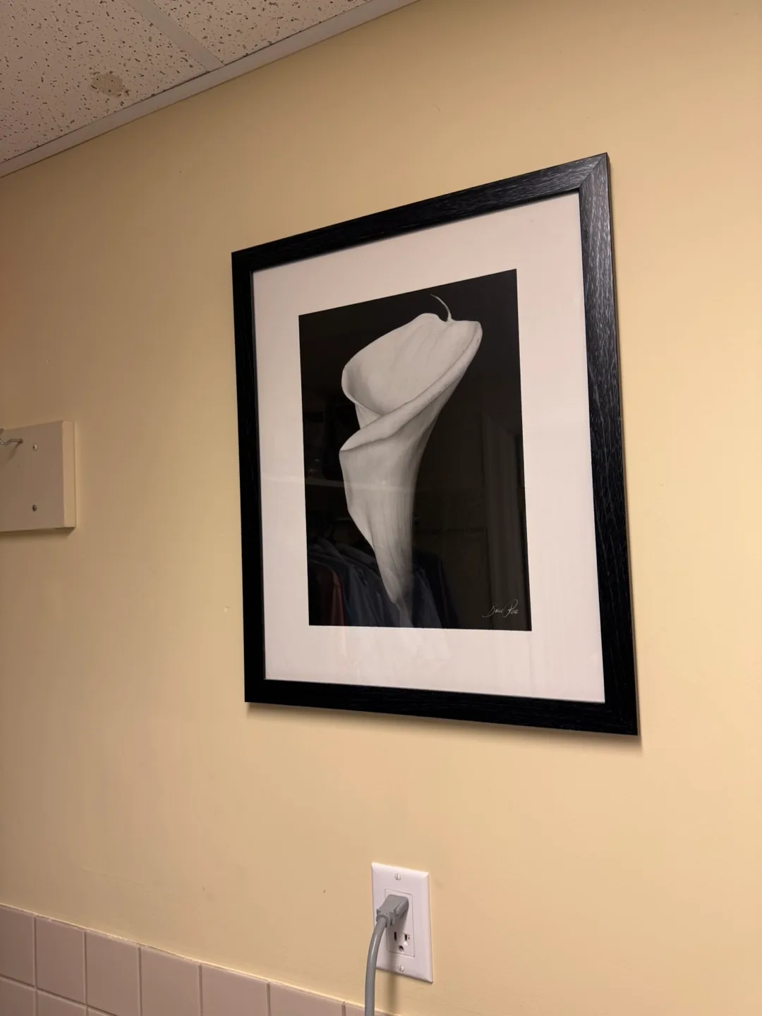 Framed Lily Print thumbnail