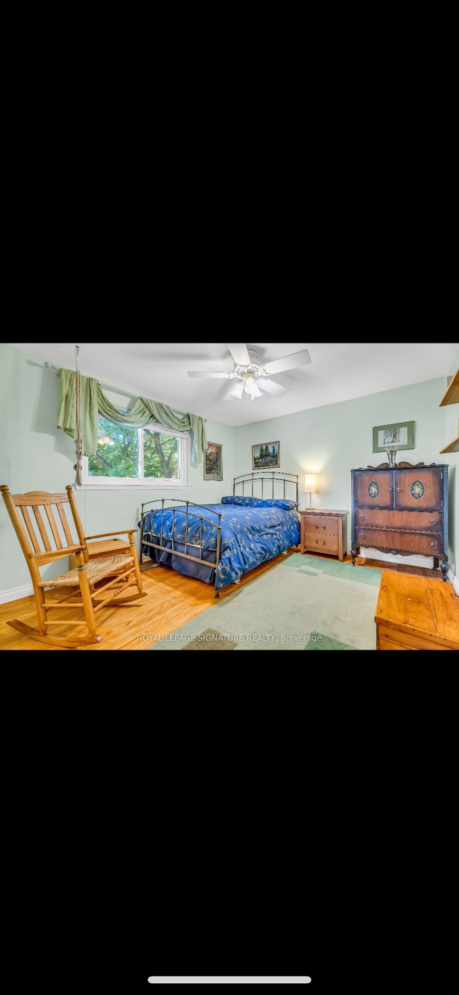 Area Rug - Green