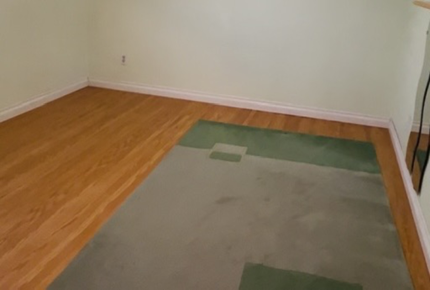 Area Rug - Green - photo 2