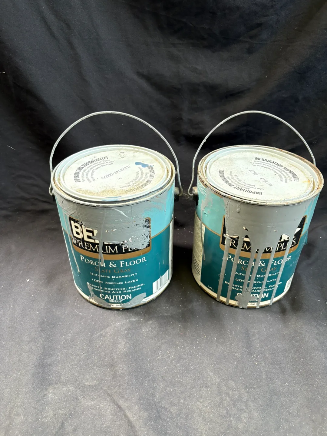 🇨🇦Behr Premium Plus Porch & Floor Paint thumbnail