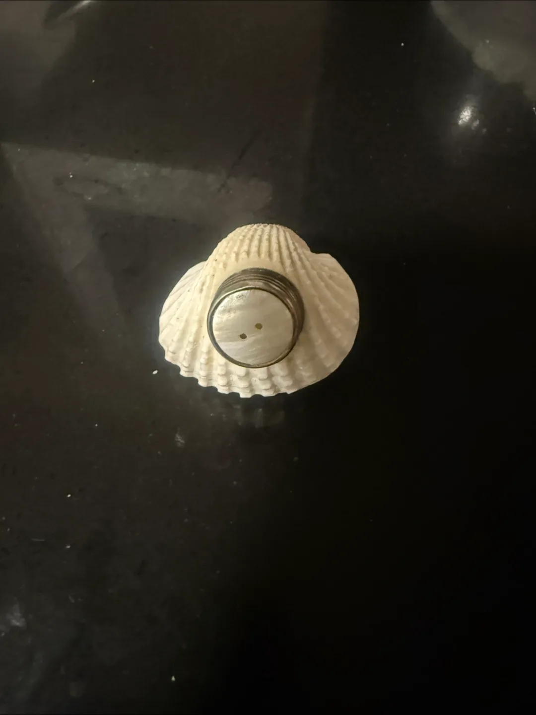 Decorative Shell salt shaker 🇨🇦 thumbnail