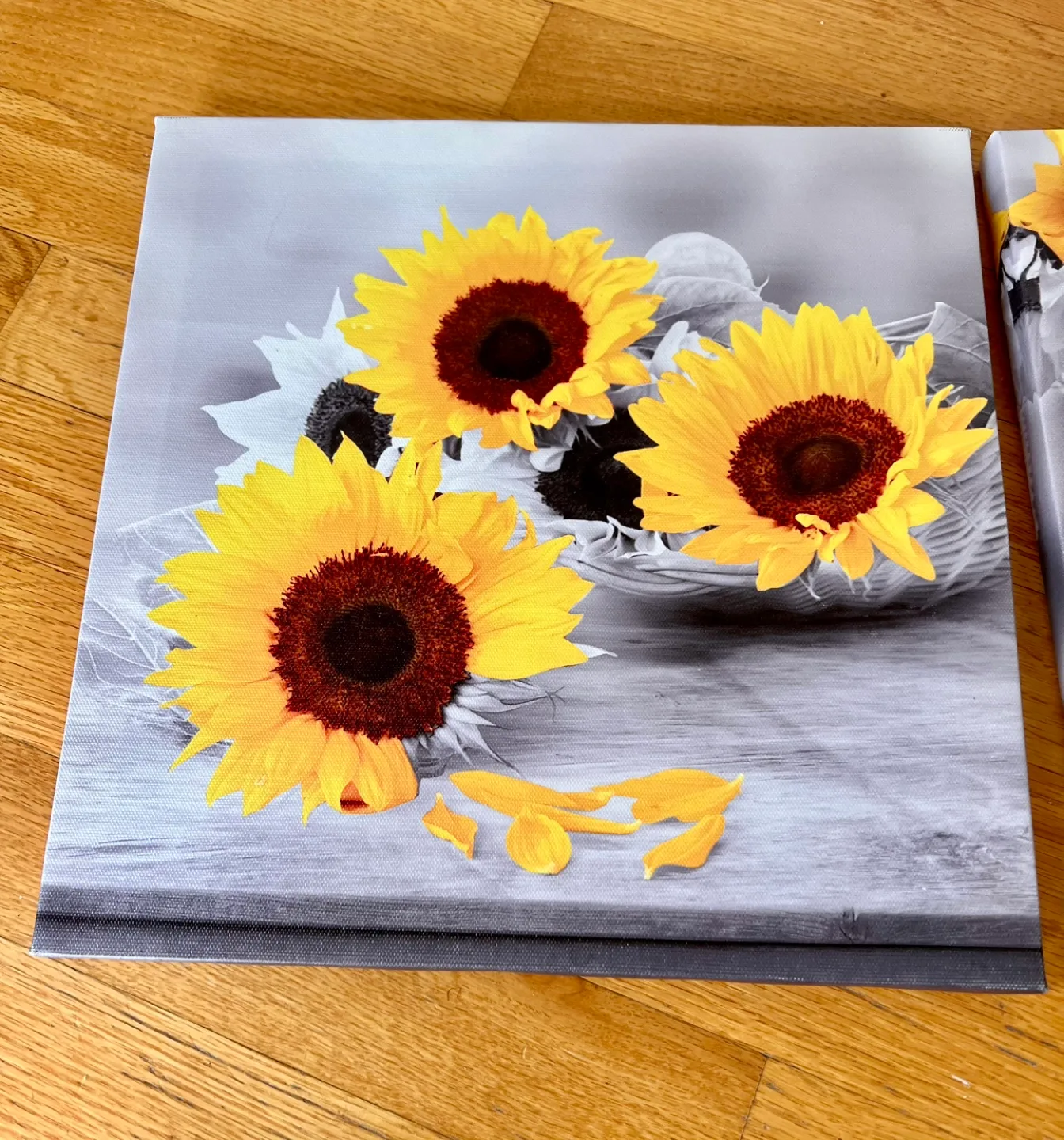 2 sunflower canvas print image indicator(2)