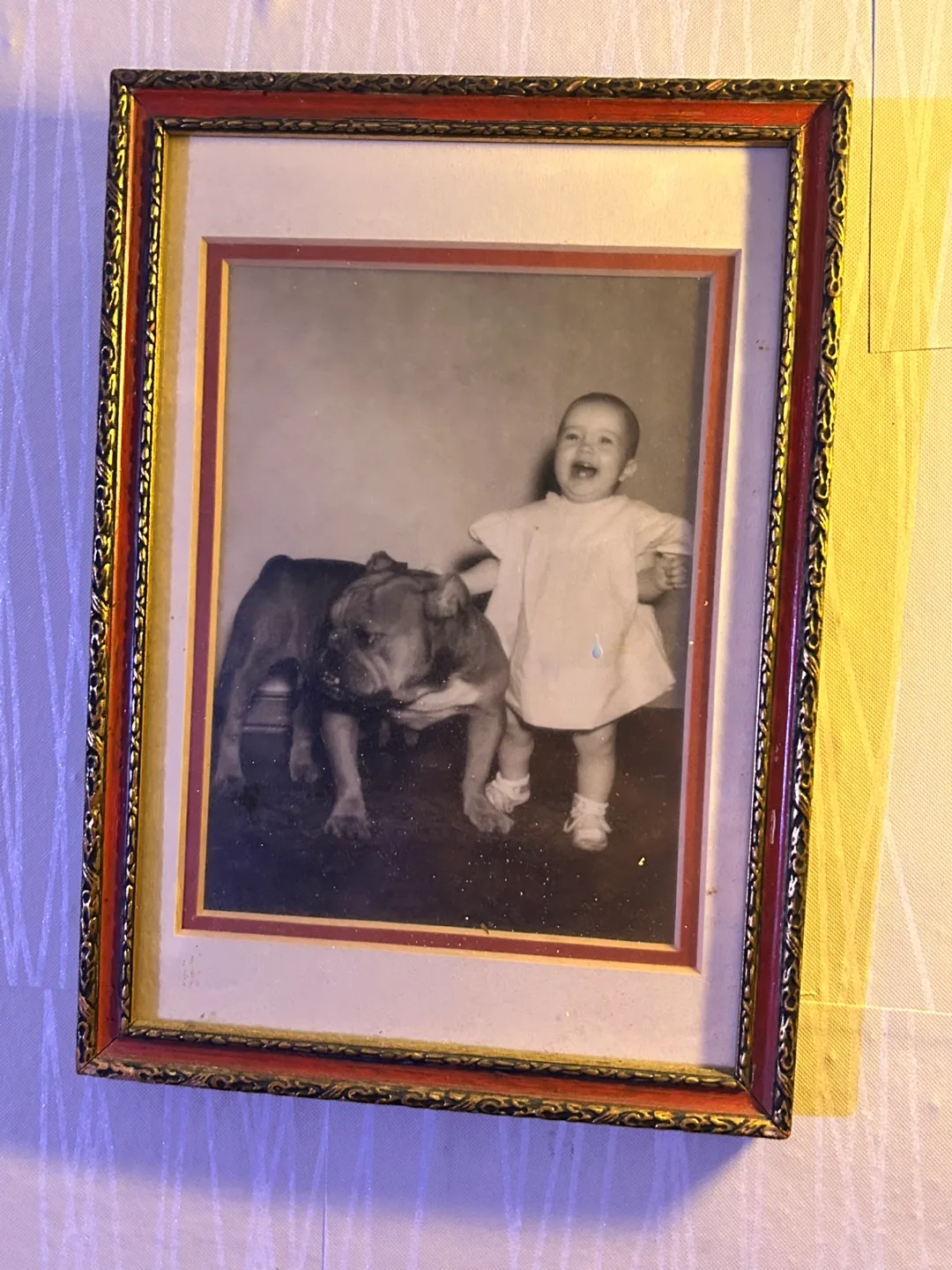 Photographs, needlepoint, drawings etc thumbnail