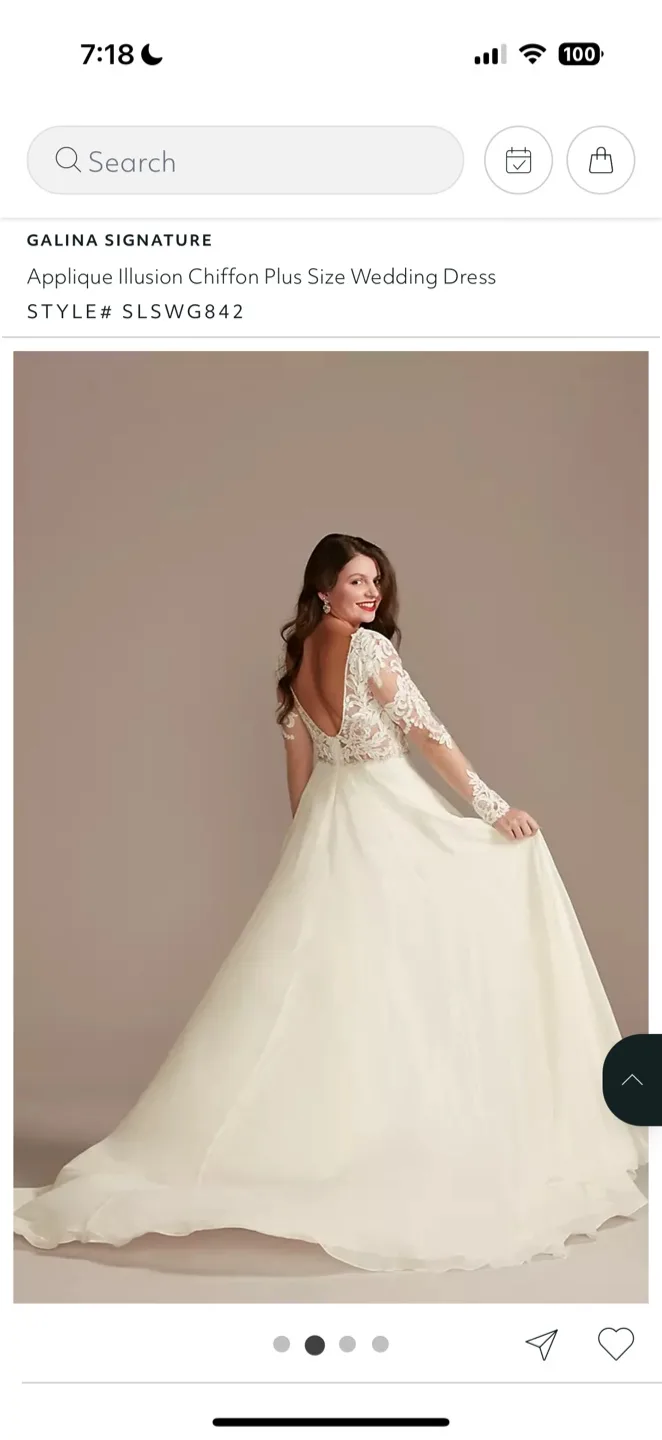 Wedding gown size 14 image indicator(2)