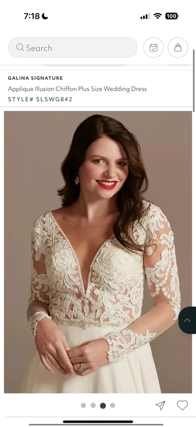 Wedding gown size 14 image indicator(3)