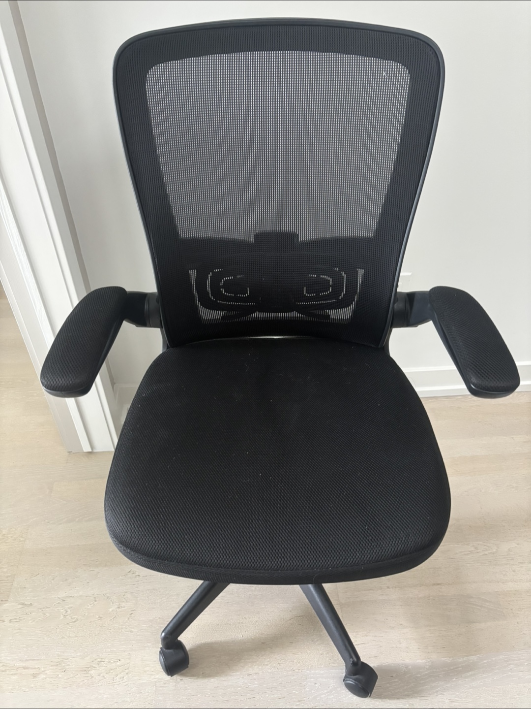 Ergonomic Desk Chair