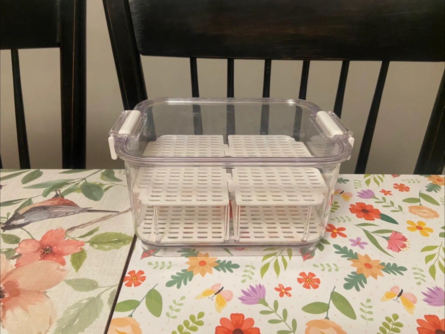Fruit fridge holder thumbnail