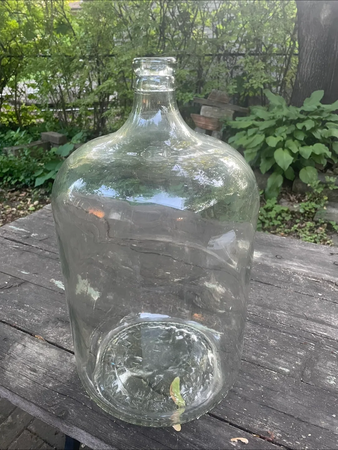 Large Glass Carboy Bottle thumbnail