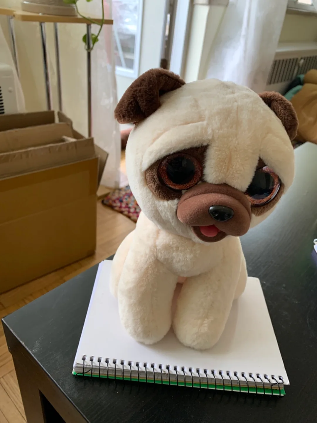 Pug dog thumbnail