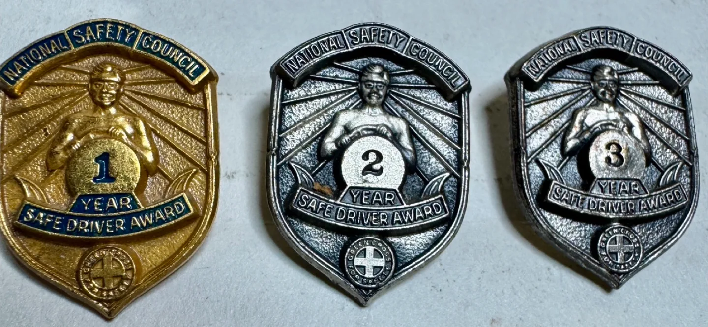 Collection of Vintage Souvenir Pins image indicator(10)