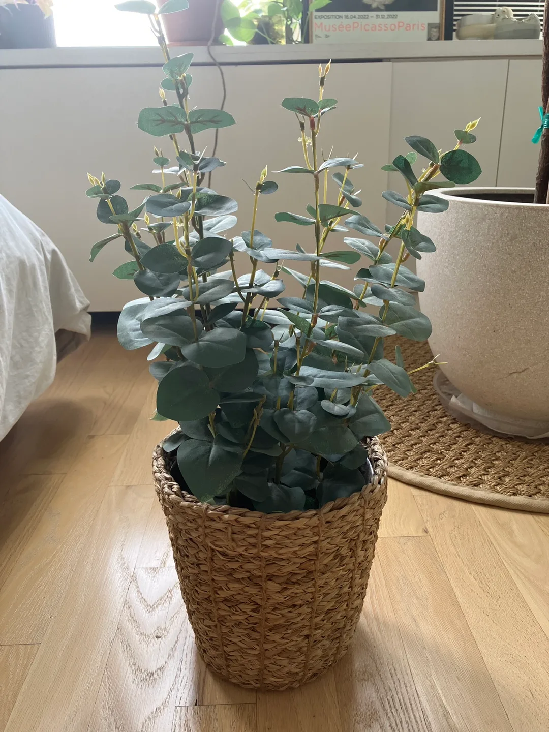 Woven Plant Basket + artificial eucalyptus thumbnail