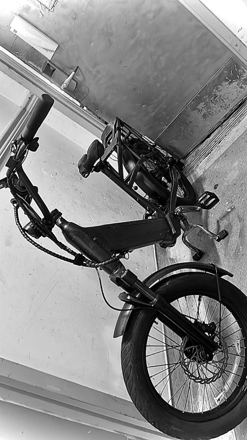 Velotric E-Bike