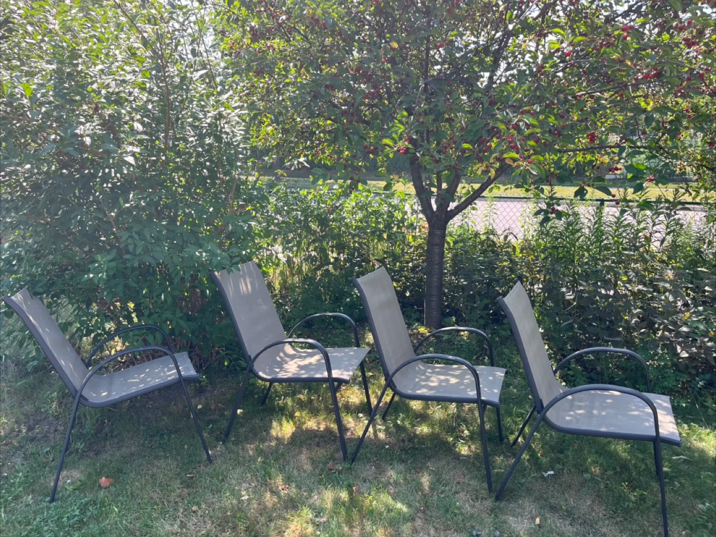 🇨🇦 Outdoor Patio Chairs - Set of 4 image indicator(6)