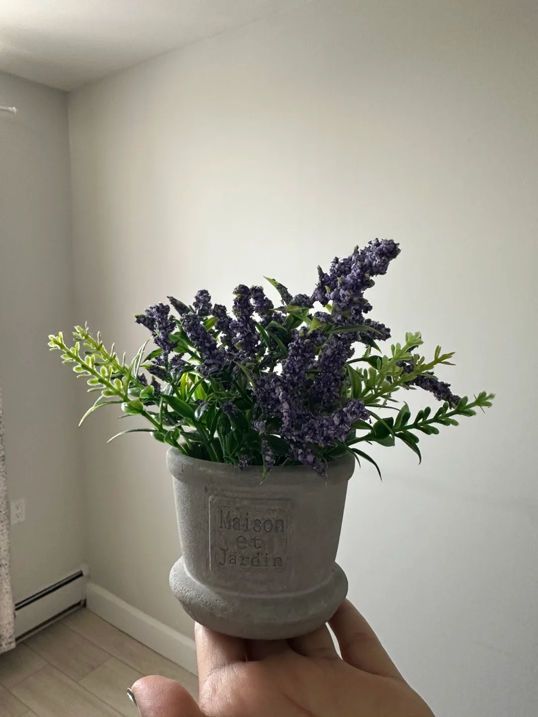 Maison et Jardin Potted Lavender Plant image indicator(2)