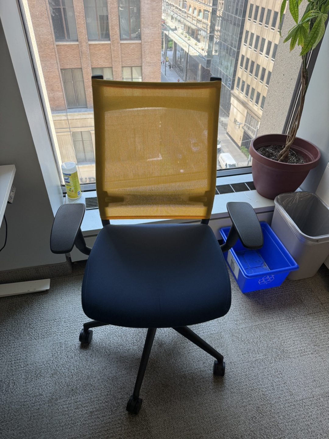 Office Chair - Blue & Yellow