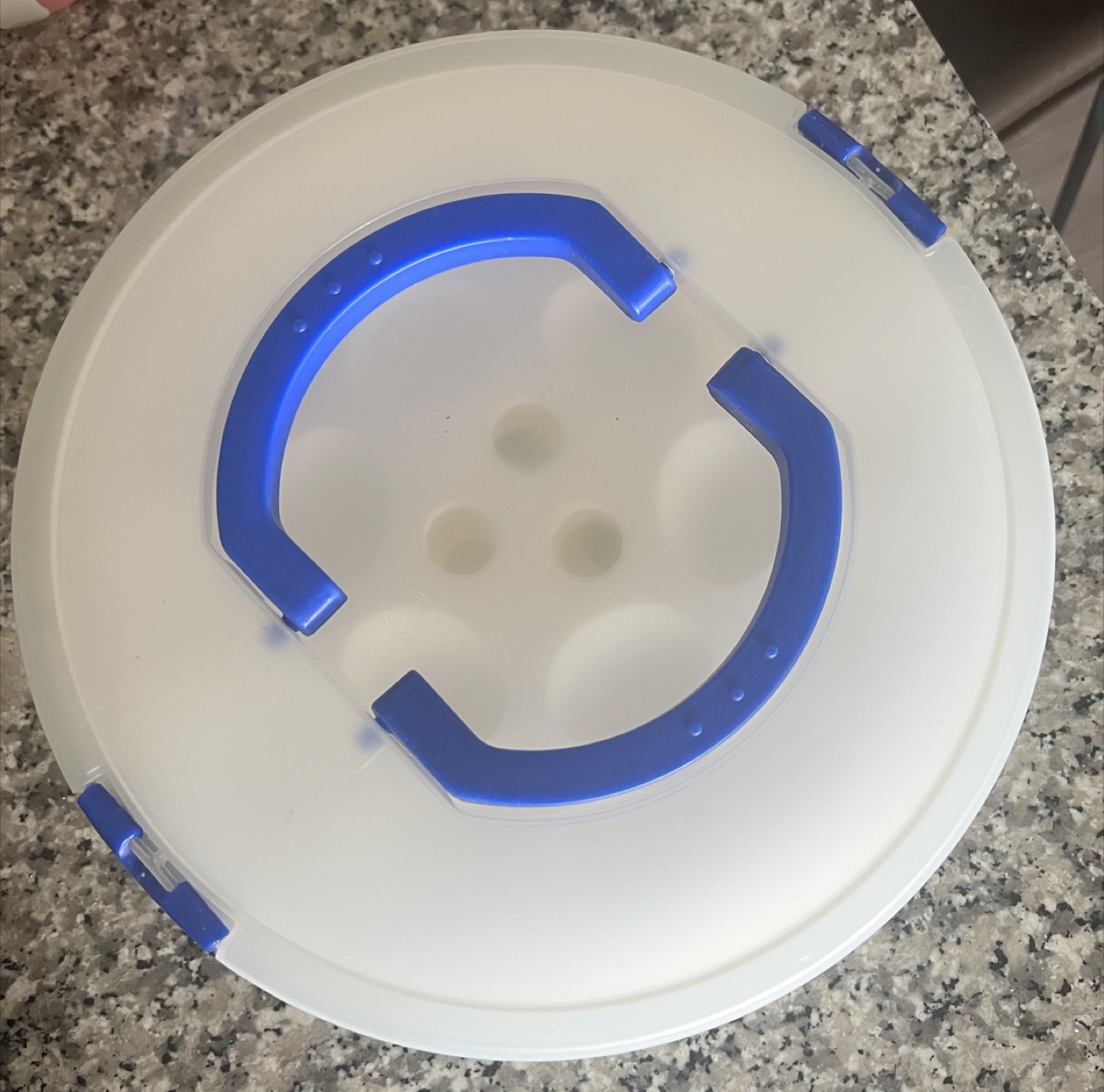 Cupcake/Egg Carrier