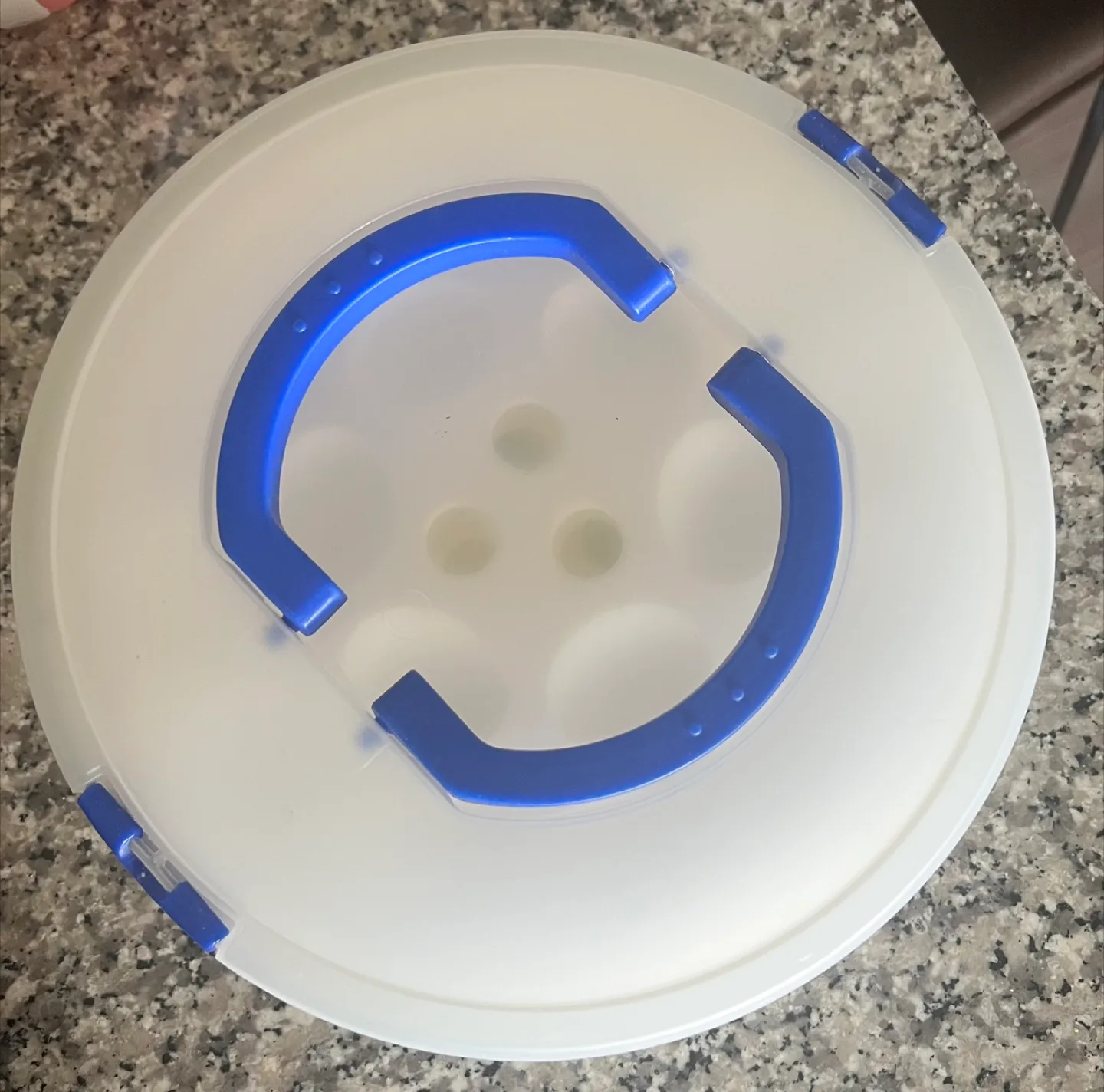 Cupcake/Egg Carrier thumbnail