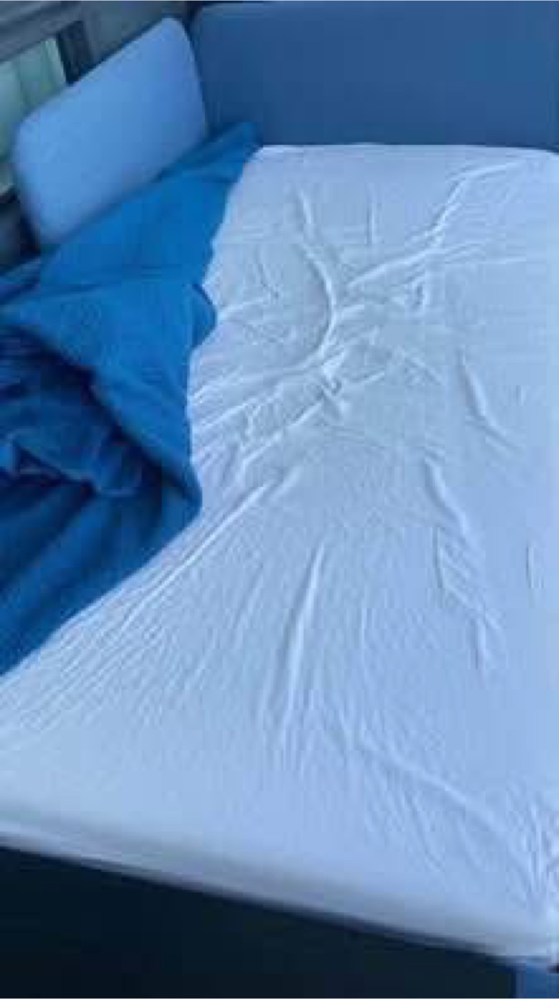 Ikea Daybed Frame - Blue - photo 4