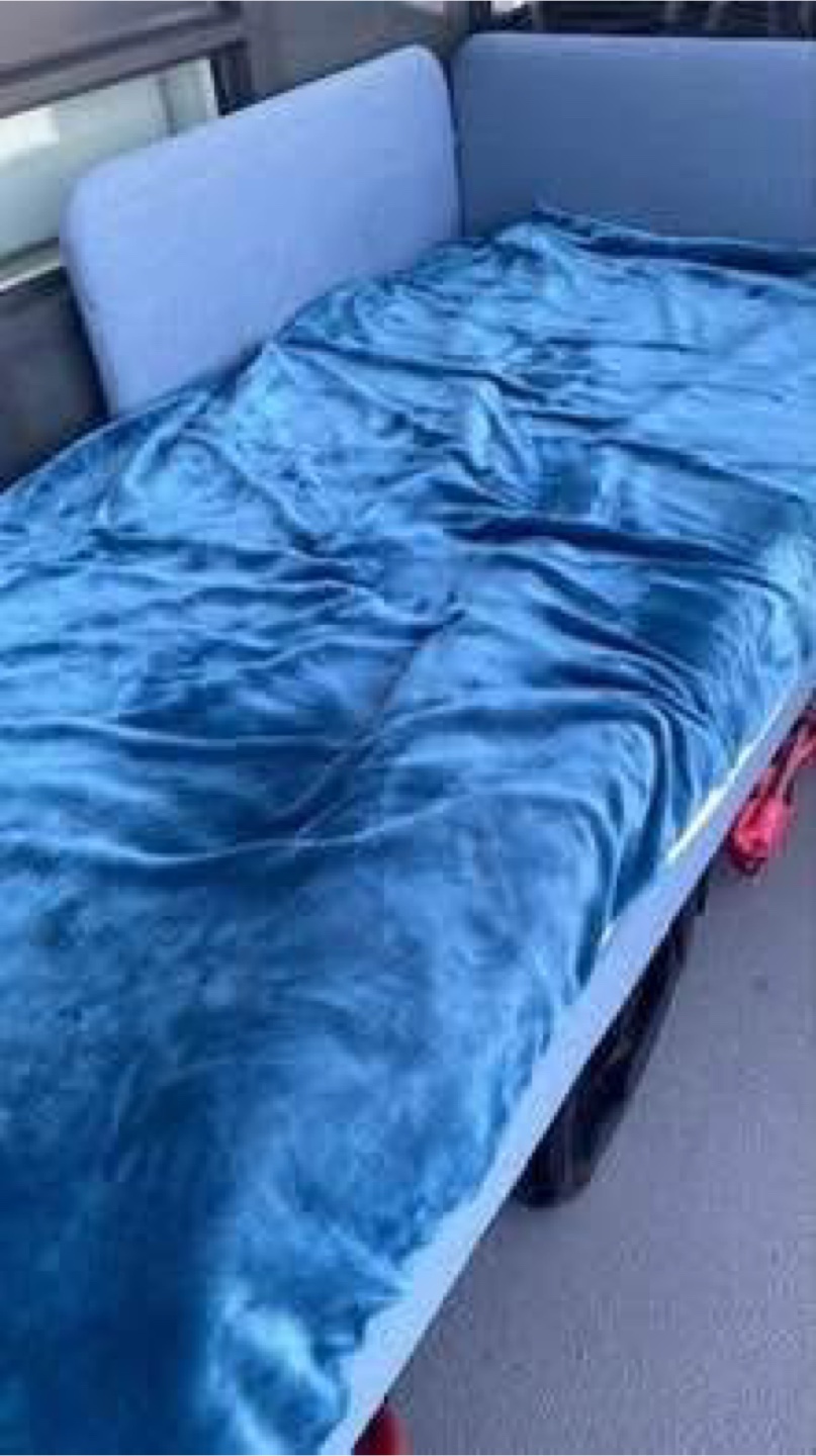 Ikea Daybed Frame - Blue - photo 3