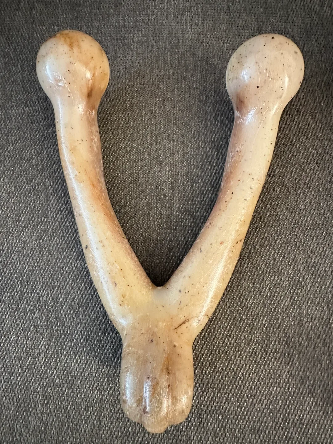 Large Dog Chew Bone/ $7 each $12 for both image indicator(2)