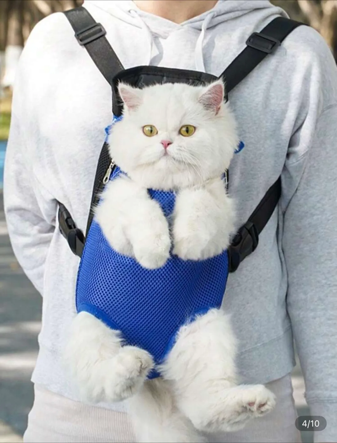 Pet Carrier Backpack /front cat carrier thumbnail