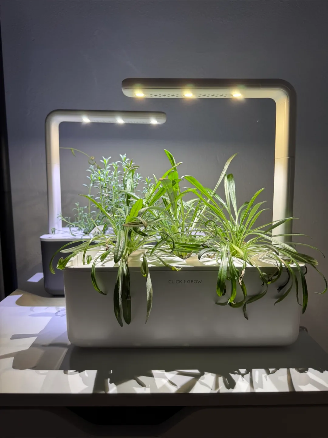 Click & Grow Smart Garden 3 (White) thumbnail