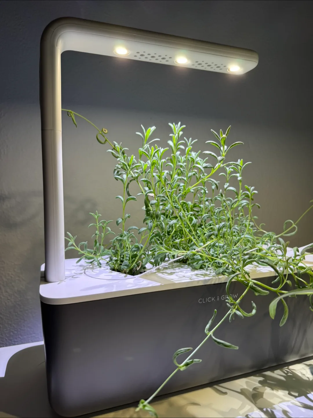 Click & Grow Indoor Herb Garden 3 (Grey) thumbnail