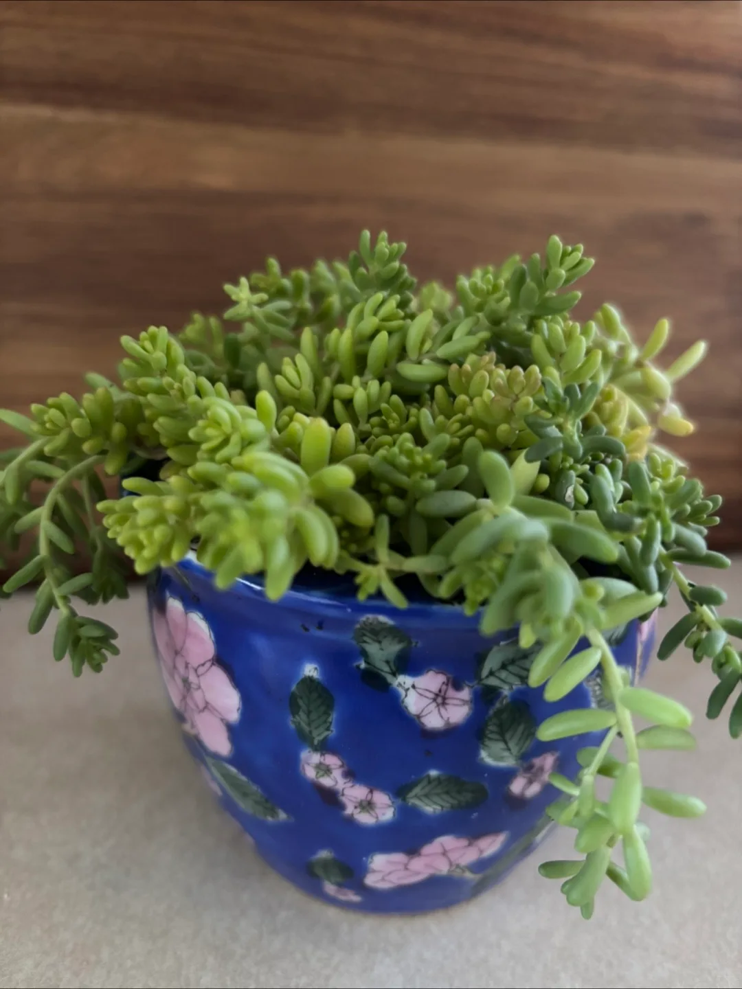 Assorted Home Decor Items thumbnail