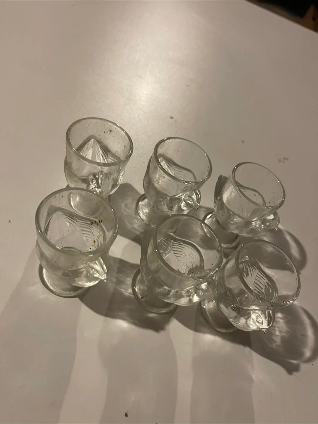 🇨🇦6 Coquetiers Poule image indicator(3)