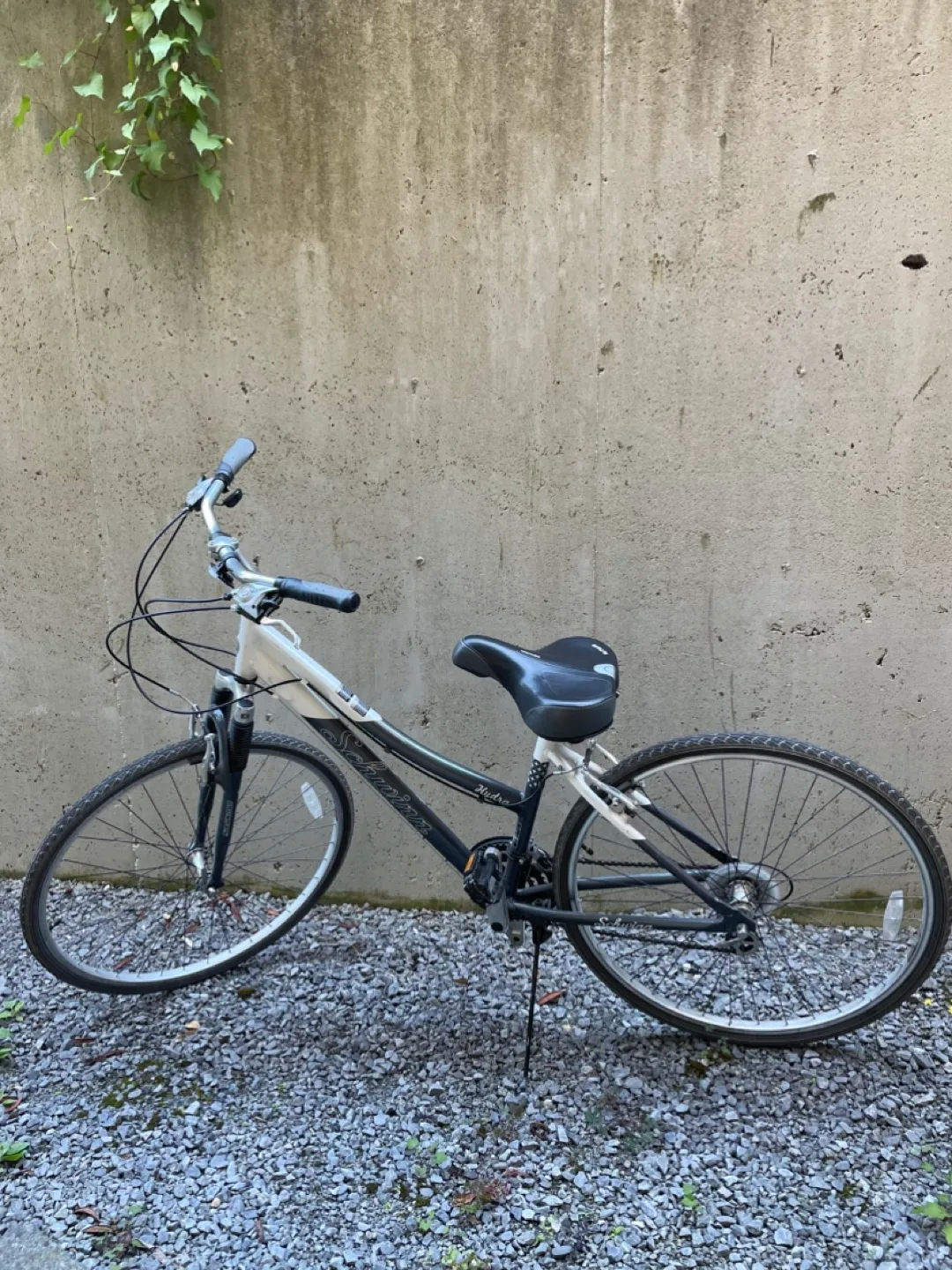 Schwinn Hybrid Bike thumbnail