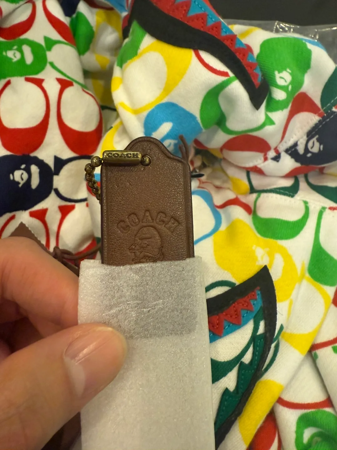 *Brand New* COACH x BAPE Shark Multicolor Hoodie -  XL image indicator(7)