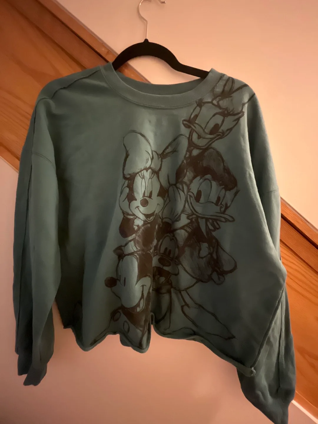 Disney Mickey and Friends Sweatshirt thumbnail