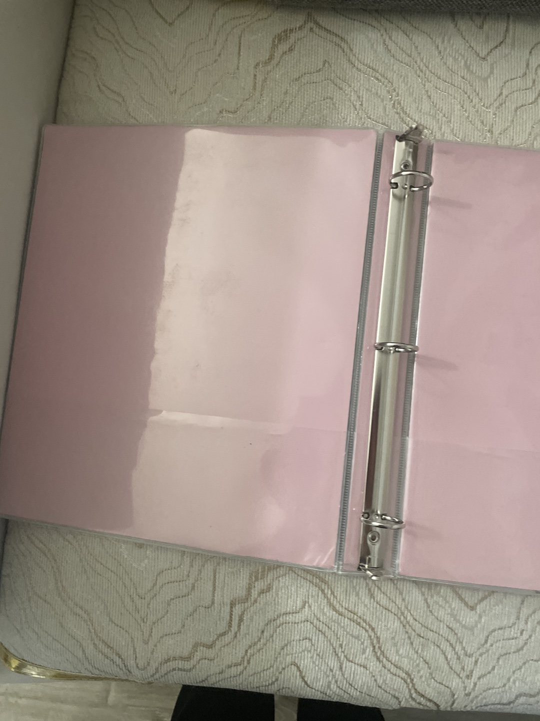 Pink Binder - Sunshine On My Mind - photo 2