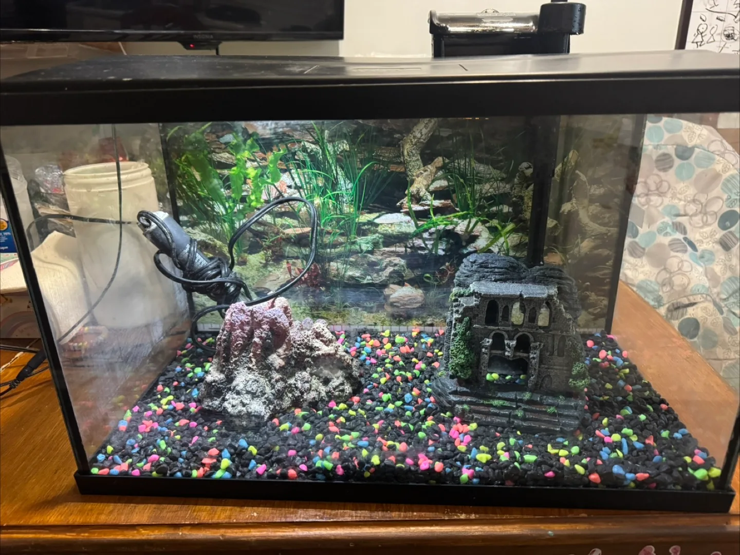 Top Fin Aquarium 10 gallon thumbnail