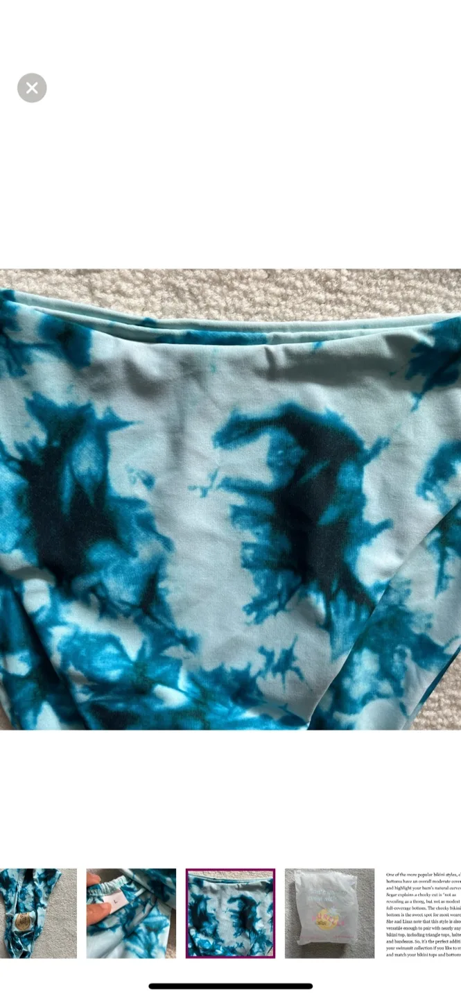 NWT Aurelle bikini set in tidewater L image indicator(4)