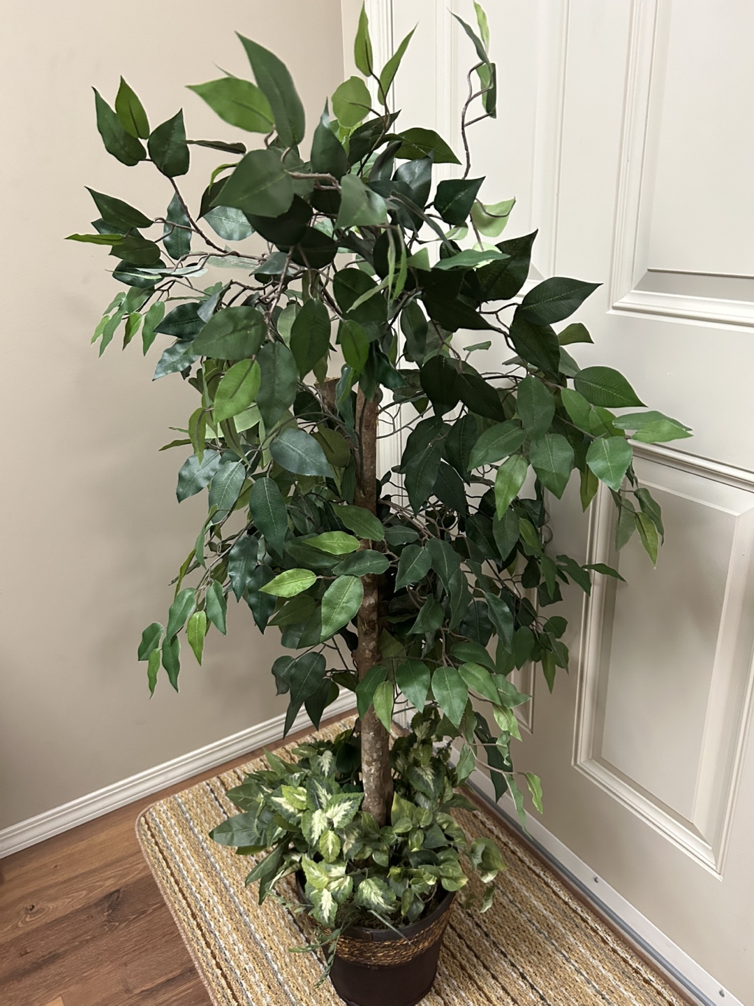 Artificial Ficus Tree in Pot