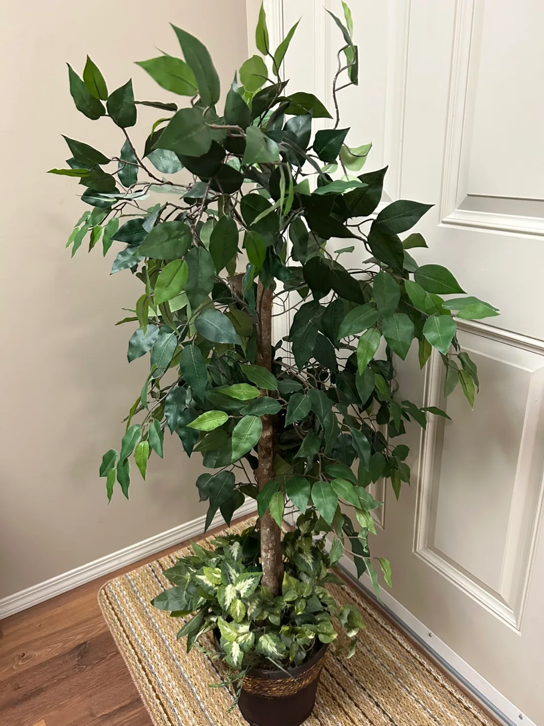 Artificial Ficus Tree in Pot