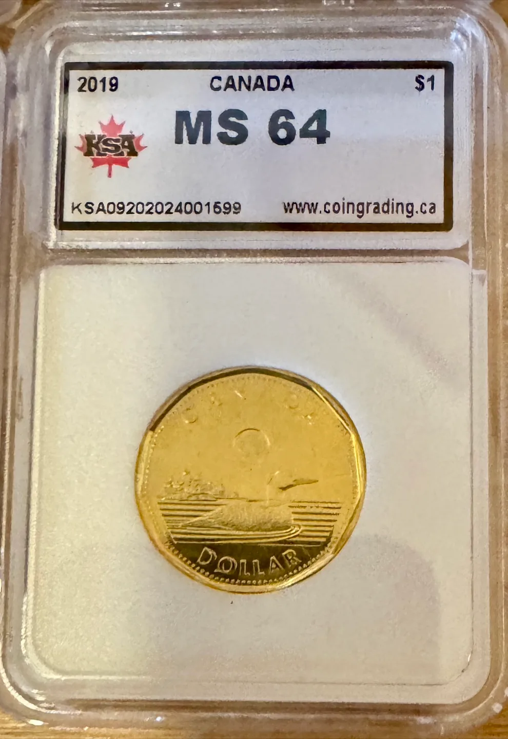 7 Canadian Graded Coins - 2019, 2020, 2021 image indicator(6)
