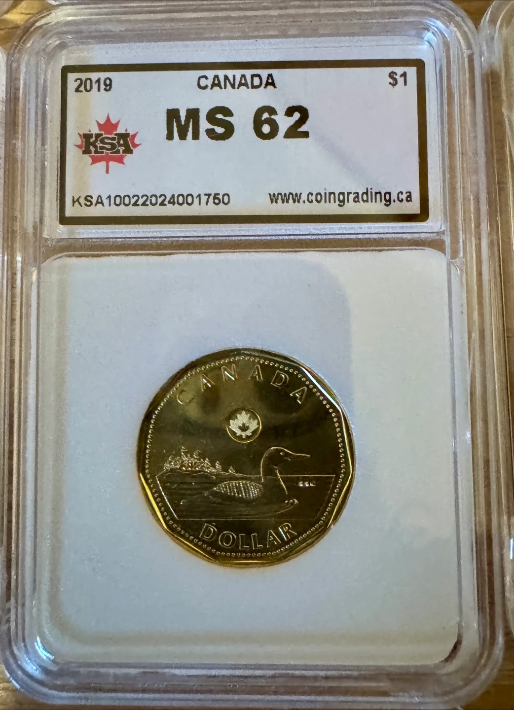 7 Canadian Graded Coins - 2019, 2020, 2021 image indicator(7)